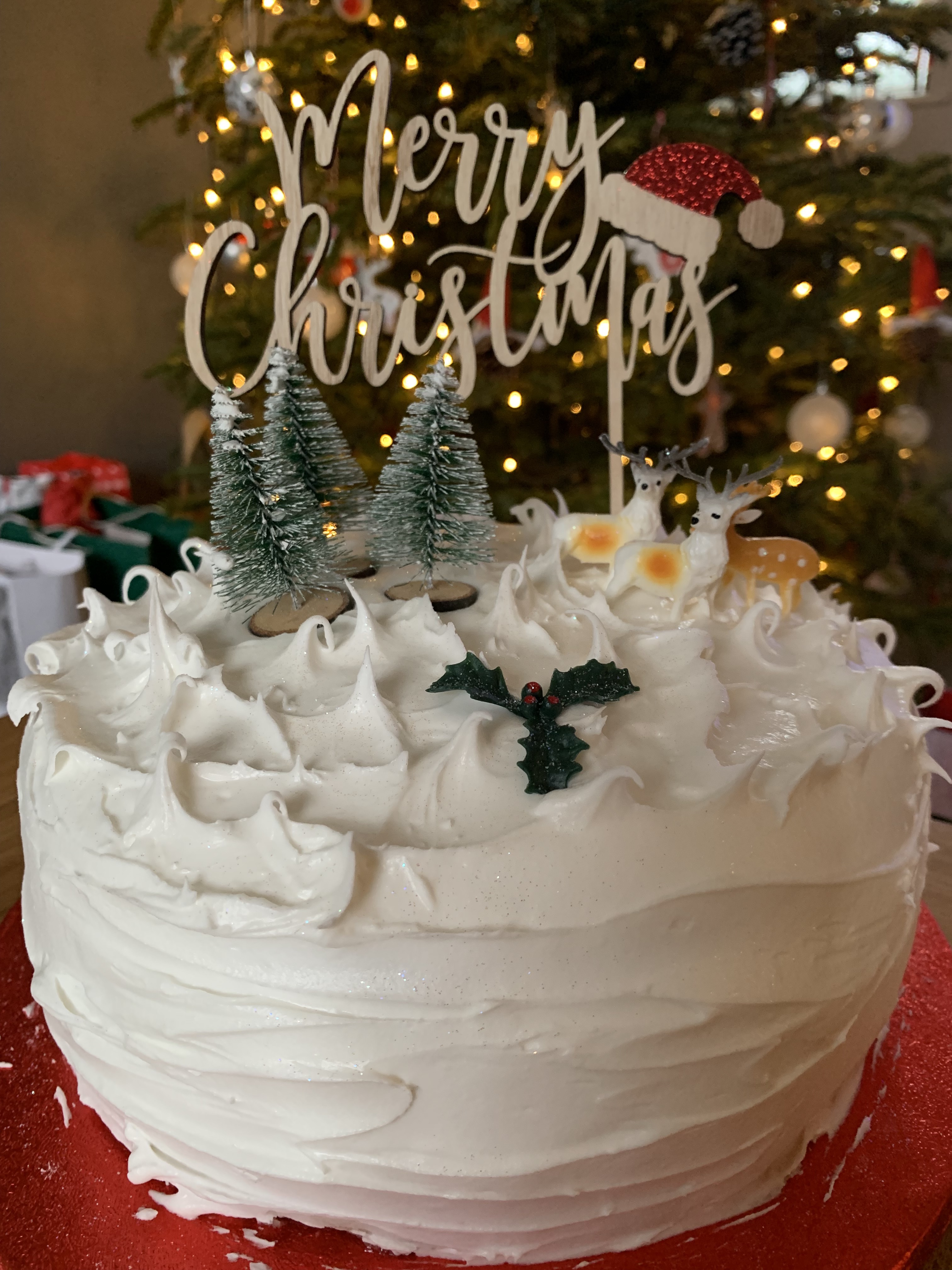 Paul Hollywood Christmas Cake